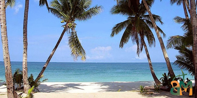 تور قشم یا کیش ؟ مقایسه کامل قشم و کیش